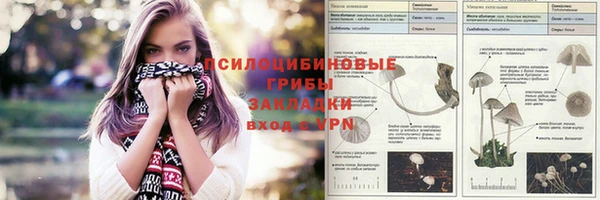 скорость Аркадак