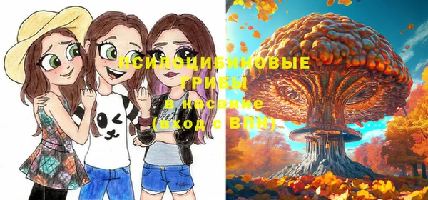 метадон Армянск